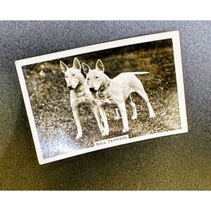 Vintage 1930s Dog Breed Tobacco Cards - Bull Terrier Spaniel Maltese Lot of 4